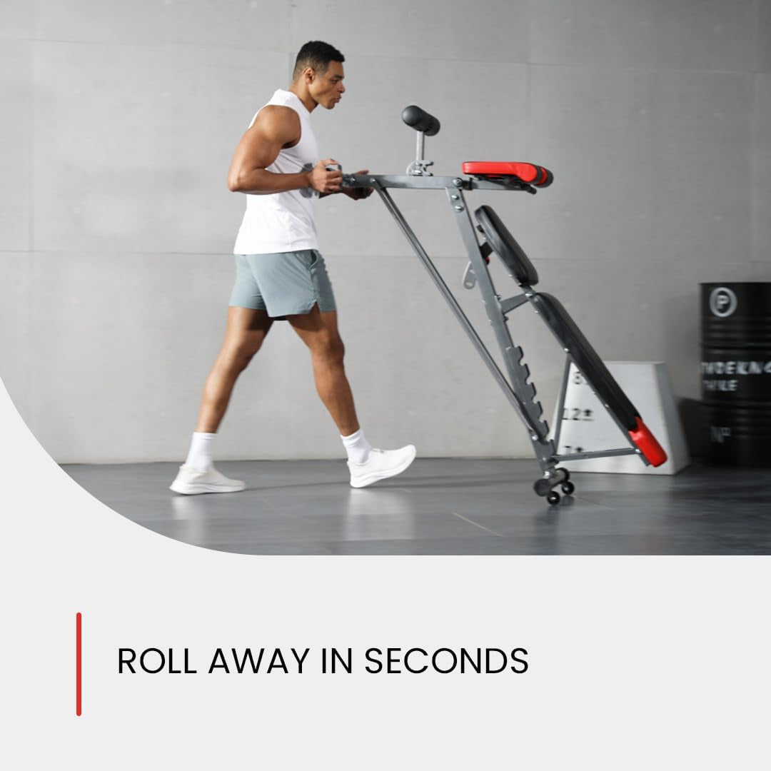Bench for Full All-In-One Body Workout