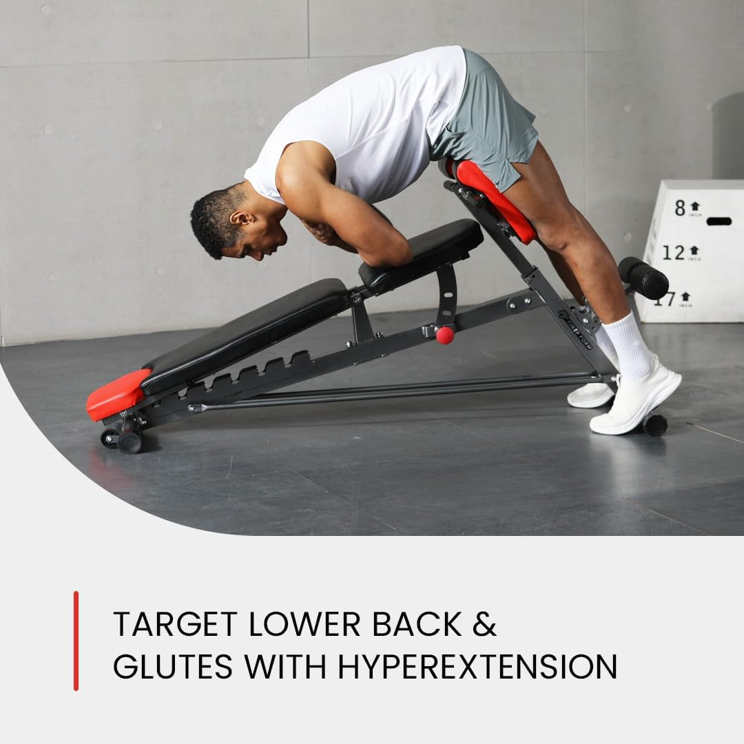 Bench for Full All-In-One Body Workout