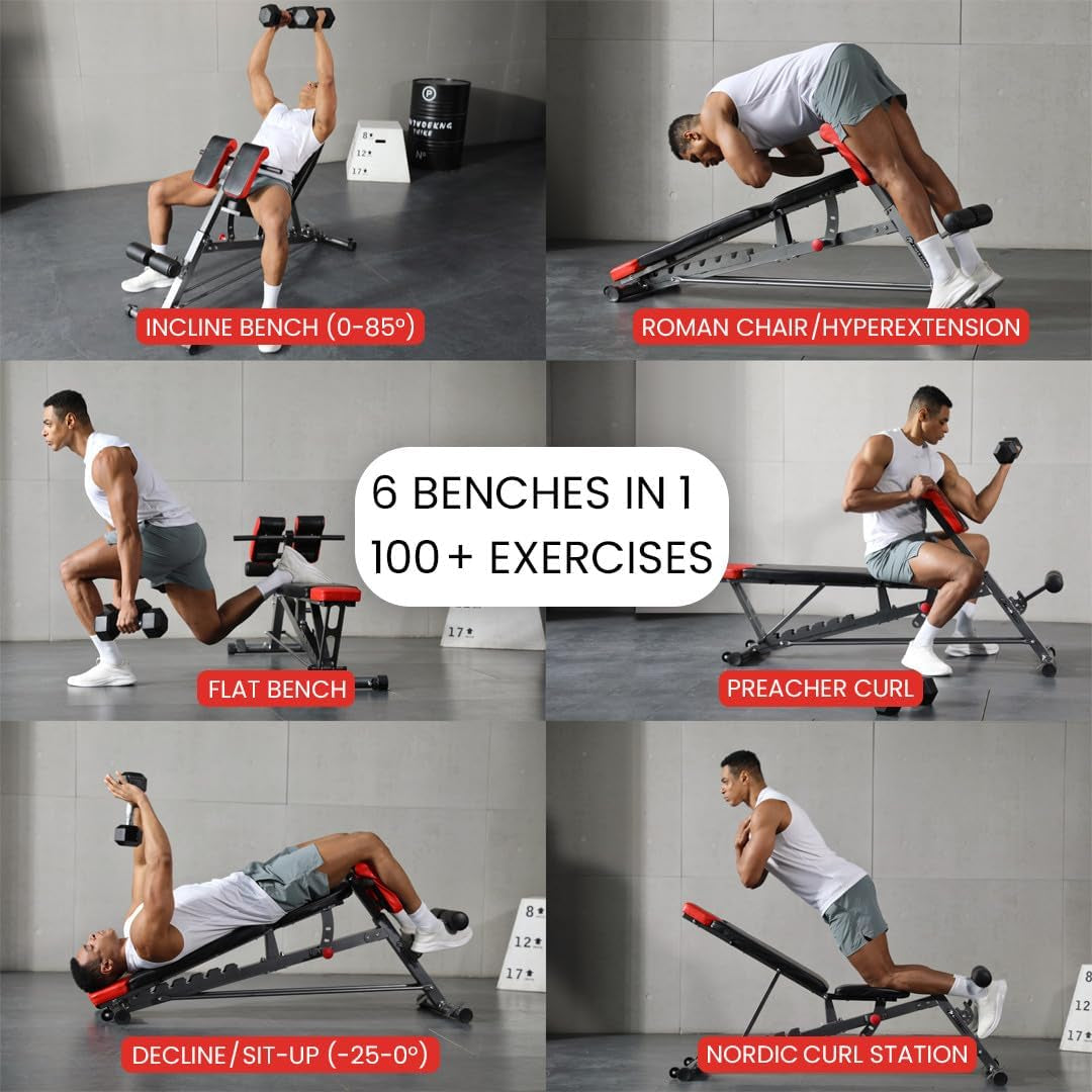  Bench for Full All-In-One Body Workout