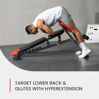  Bench for Full All-In-One Body Workout
